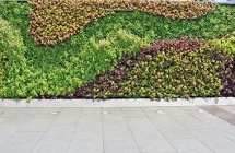 上饶怎样选择江西植物墙培养的基质？
