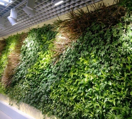 上饶绿植墙体