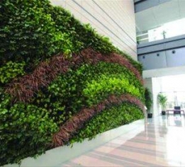 吉安江西绿植墙设计