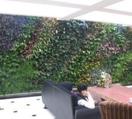 南昌江西法式植物墙