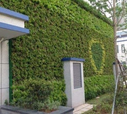 南昌绿化墙