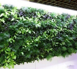 上饶植物墙设计
