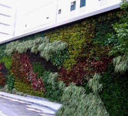 上饶植物墙设计公司