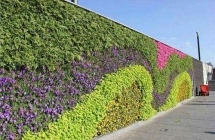 上饶江西绿植墙谈私家庭院绿化的设计