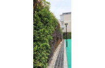 宜春绿植墙在城市建设中有哪些环境和生态方面的益处？